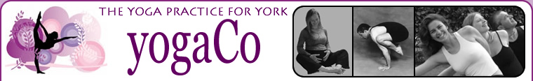 YogaCo - The Yoga Practice for York